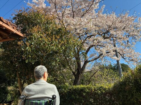 訪問先